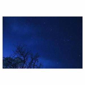 欧美午夜嘿嘿在线
