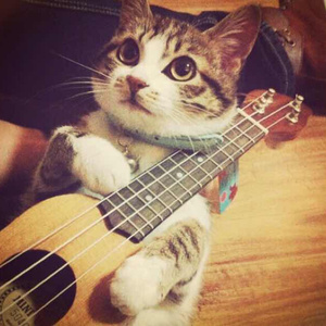 第五人格佣囚本子网站版
